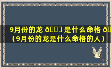 9月份的龙 🐘 是什么命格 🐘 （9月份的龙是什么命格的人）